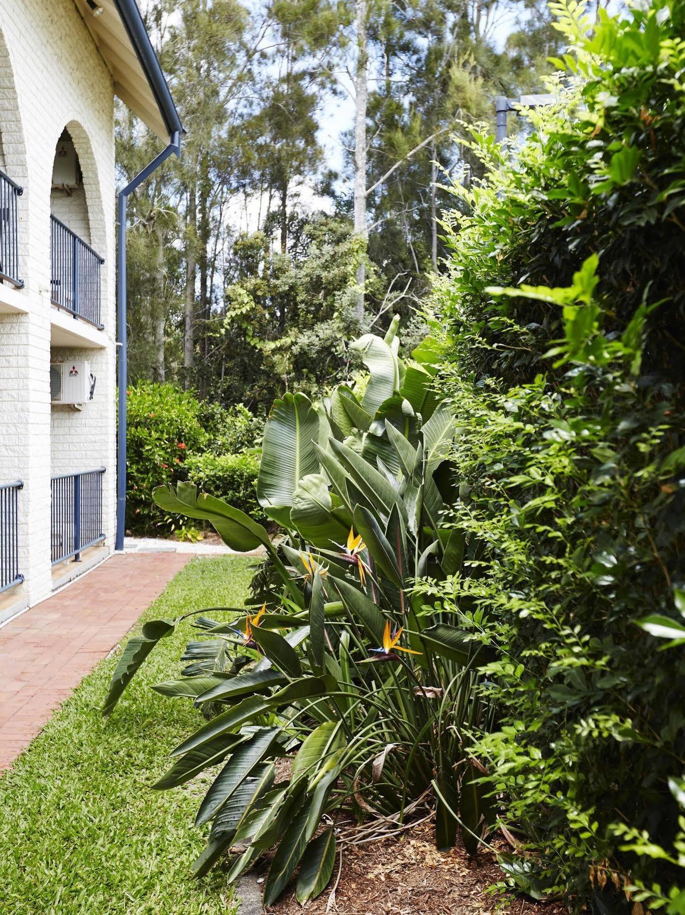 Bay Beach Motel Byron Bay Zewnętrze zdjęcie